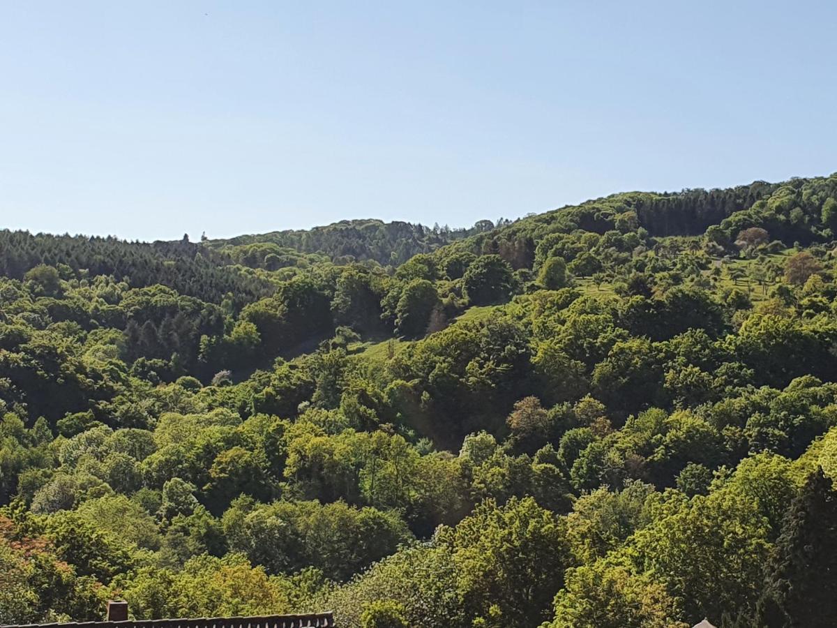 Die Gruene Oase Am Rheinsteig 2 Zkbuwc 新维德 外观 照片